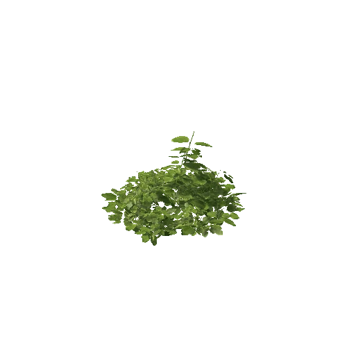 Plant 22_LOD_0